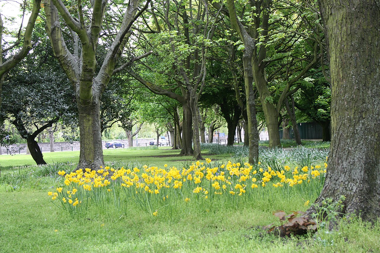 Ein Foto von Fairview-Park