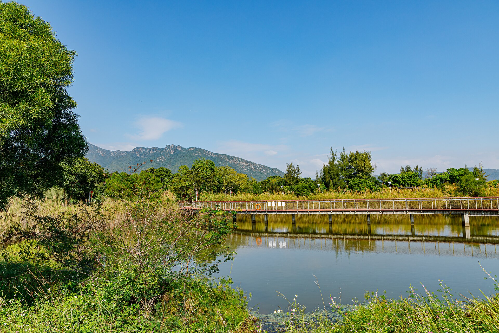 Baguang Gümüş Yaprak Sulak Alan Parkı