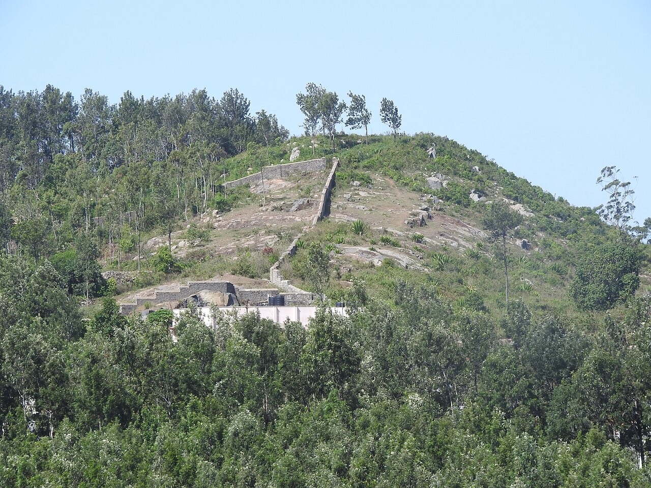 Una fotografia di Collina della Chiesa