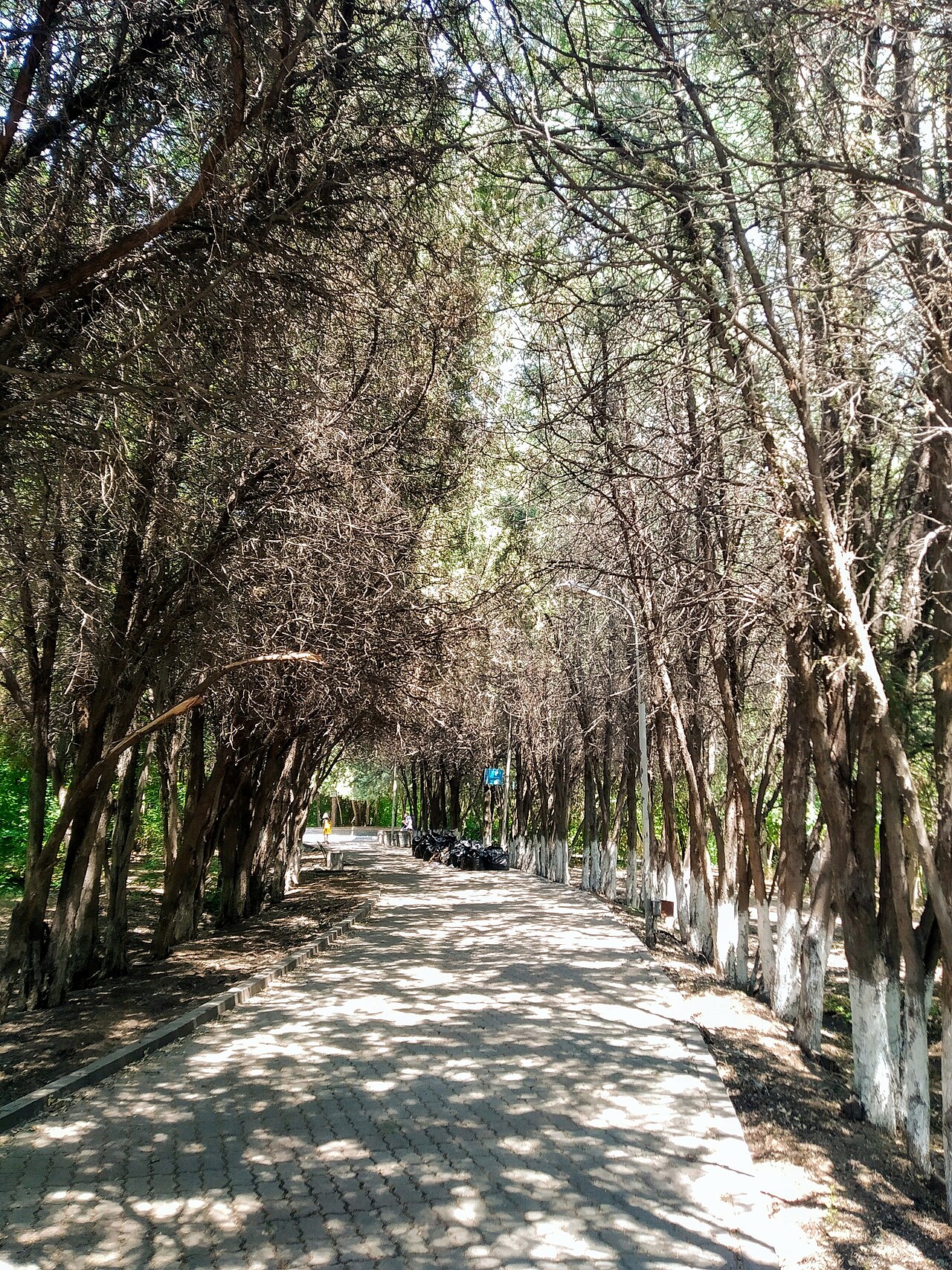 Una fotografia di Parco Nor Arabkir