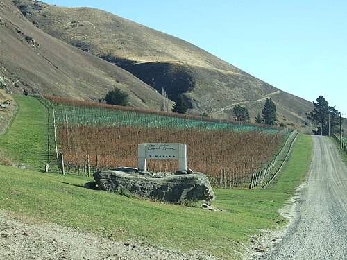 Chard Farm Winery