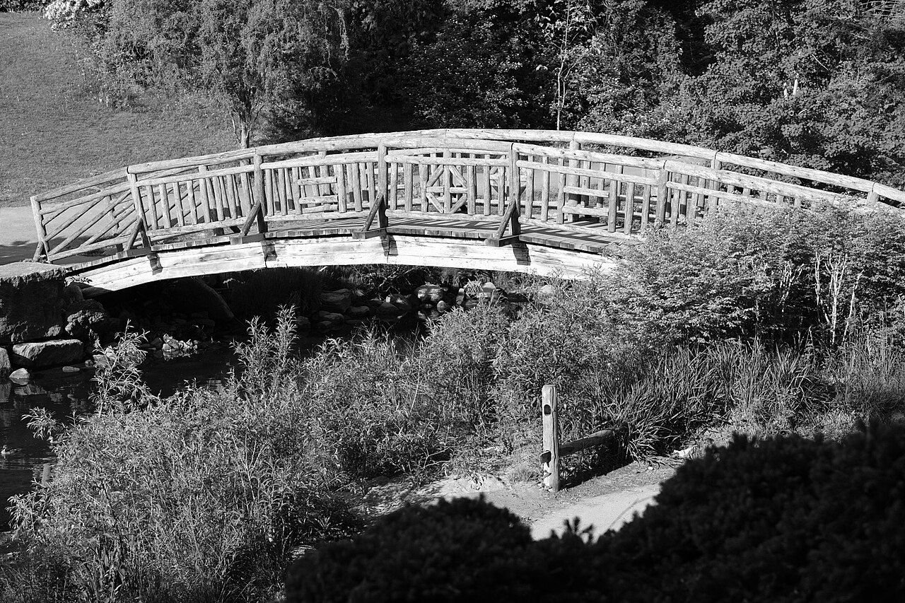 Ein Foto von Botanischer Garten Toronto