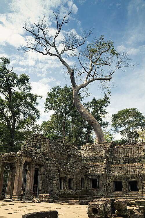 Ta Prohm