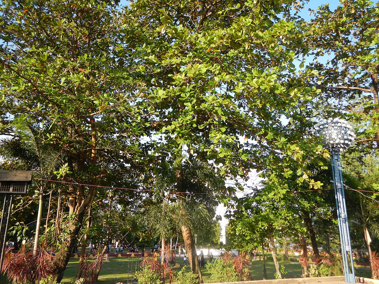 Ein Foto von Governors' Promenade