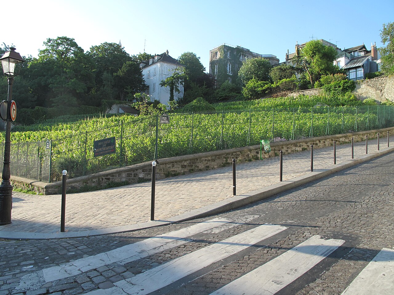 Vignes de Montmartre