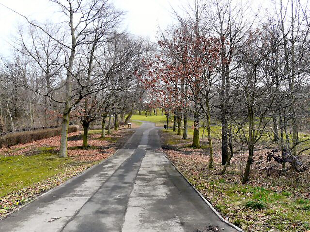 フィリップス公園 の写真