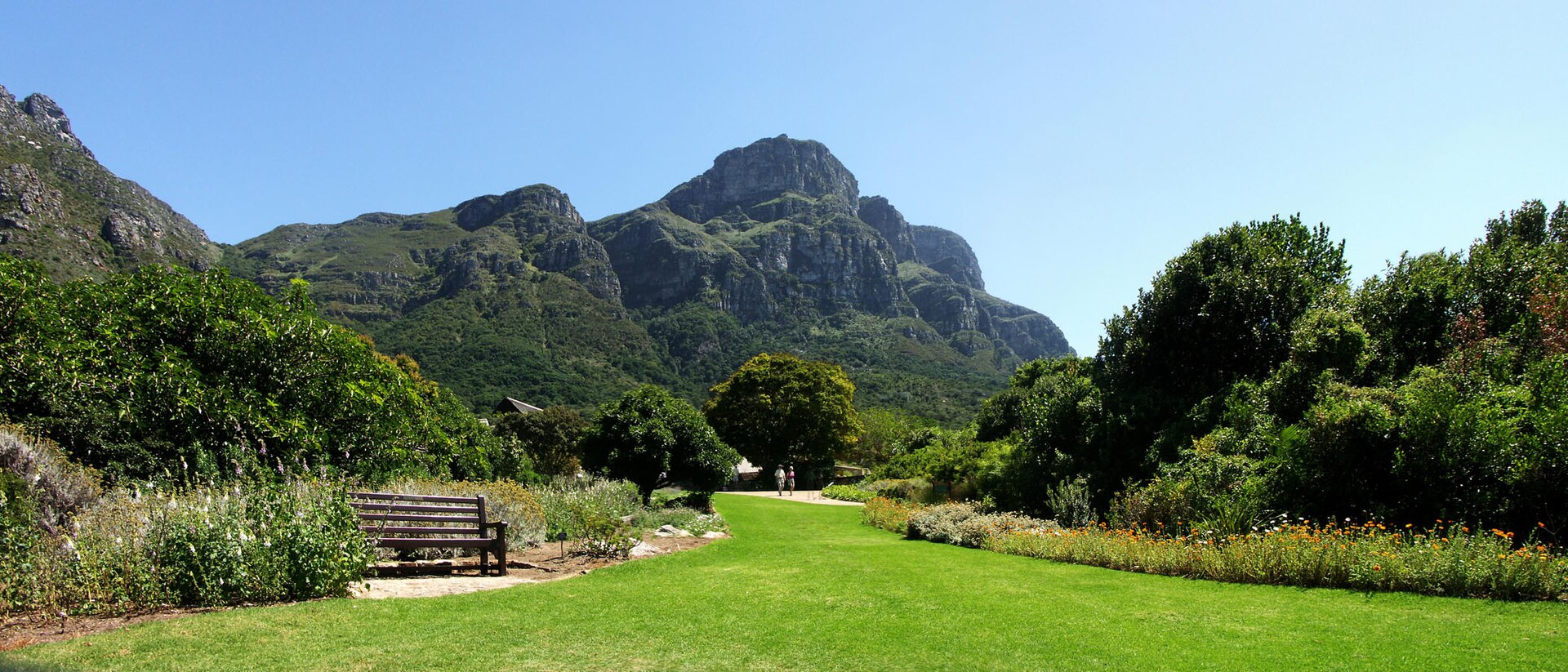 Kirstenbosch Ulusal Botanik Bahçesi