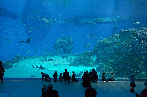 The Blue Planet
