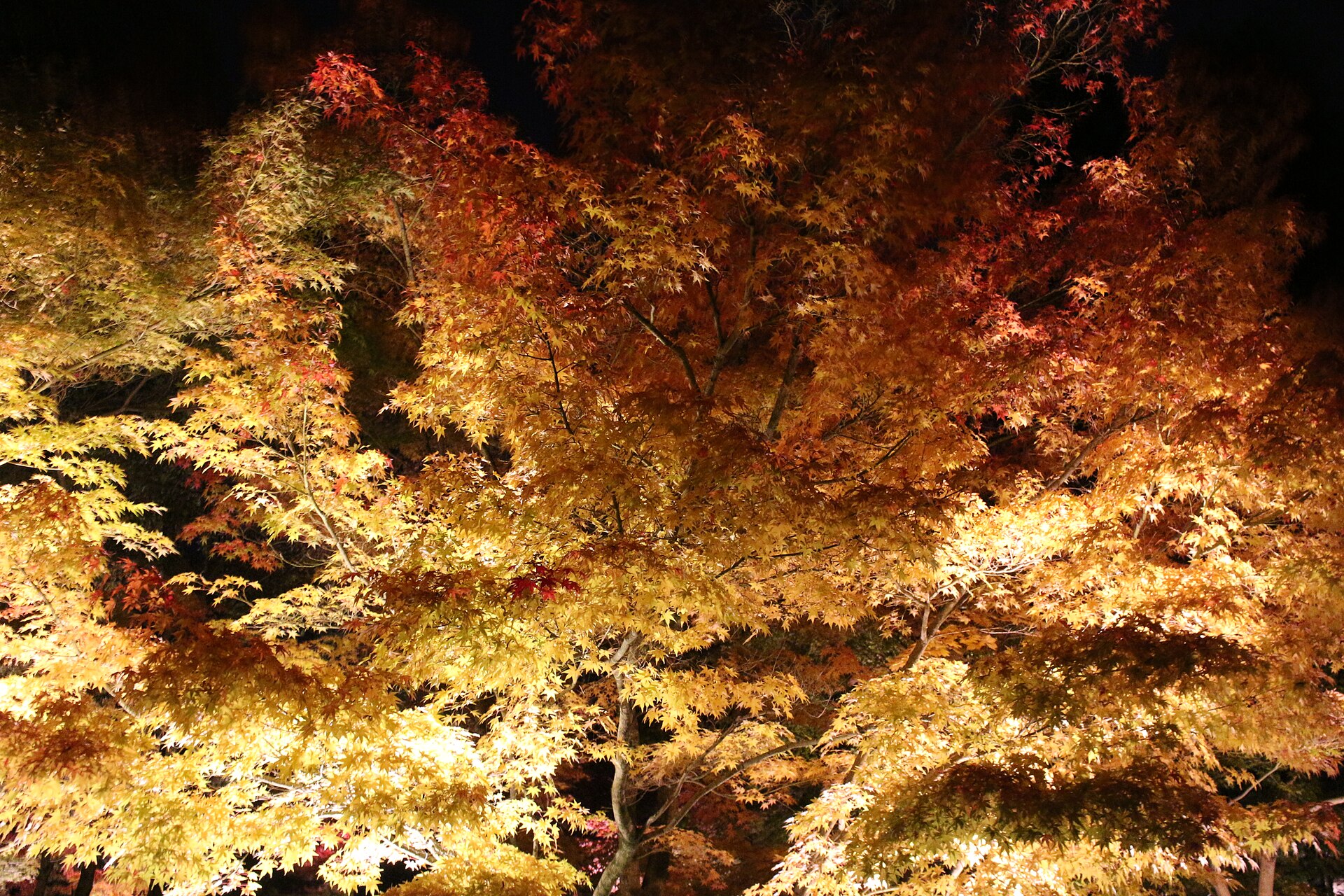 Eikan-do