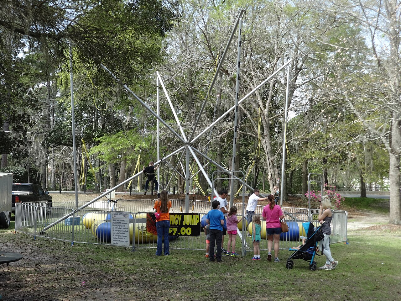 A photograph of Bungee
