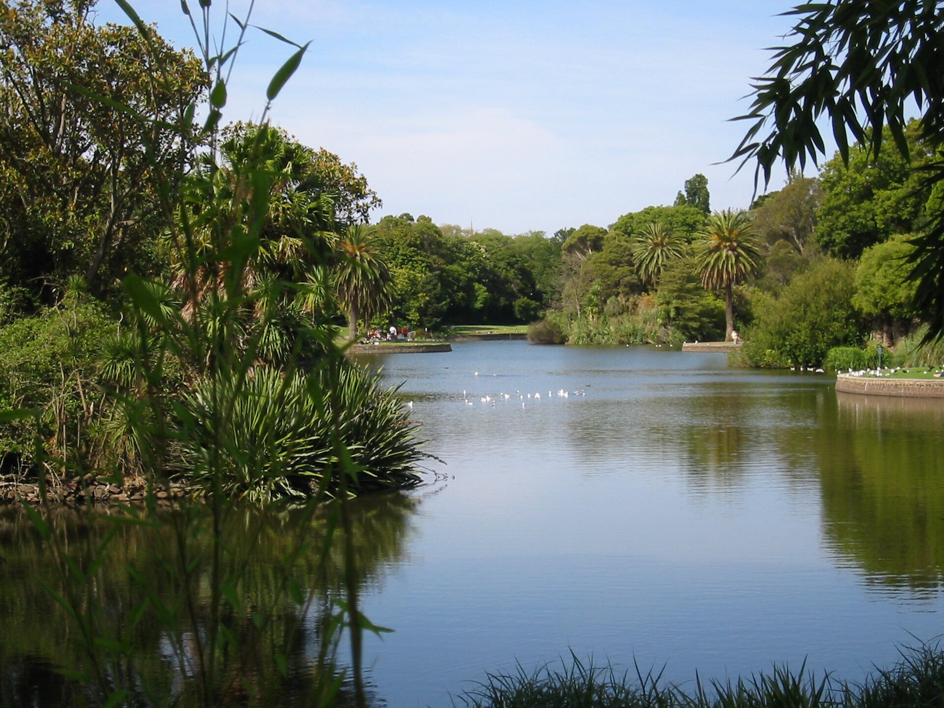 Royal Botanic Gardens Victoria의 사진
