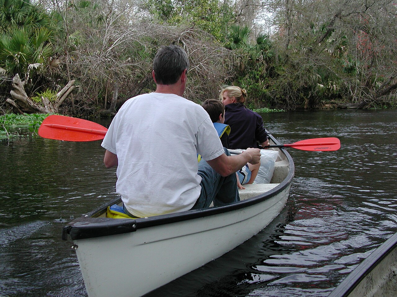 Wekiwa Springs State Park의 사진