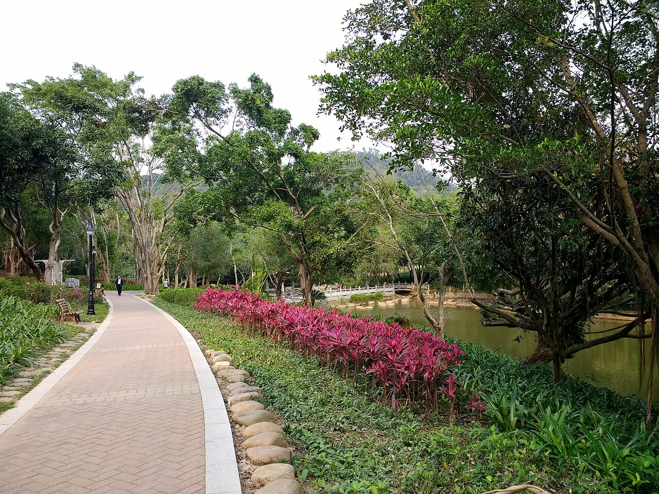 Bijiashan Parkı
