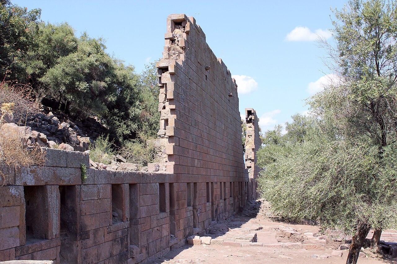 صورة إيغاي