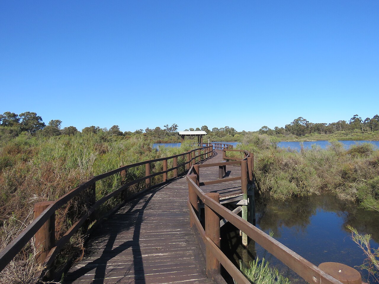 A photograph of Booragoon Lake