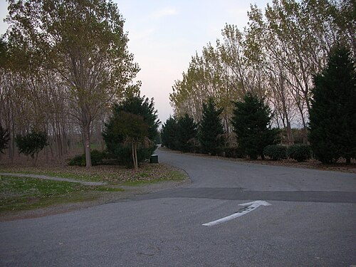 Foresta urbana di İnciraltı