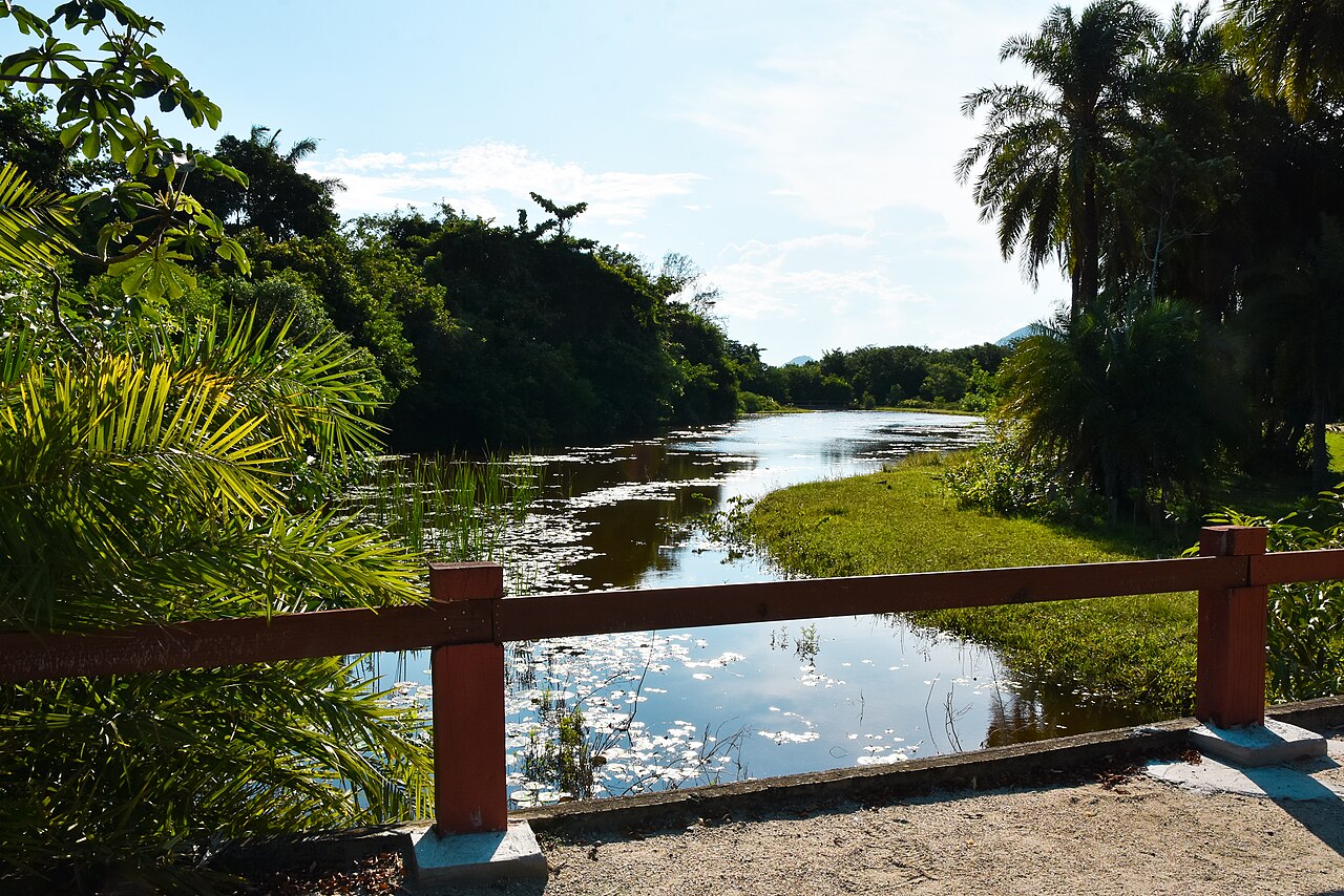 A photograph of Bosque da Barra