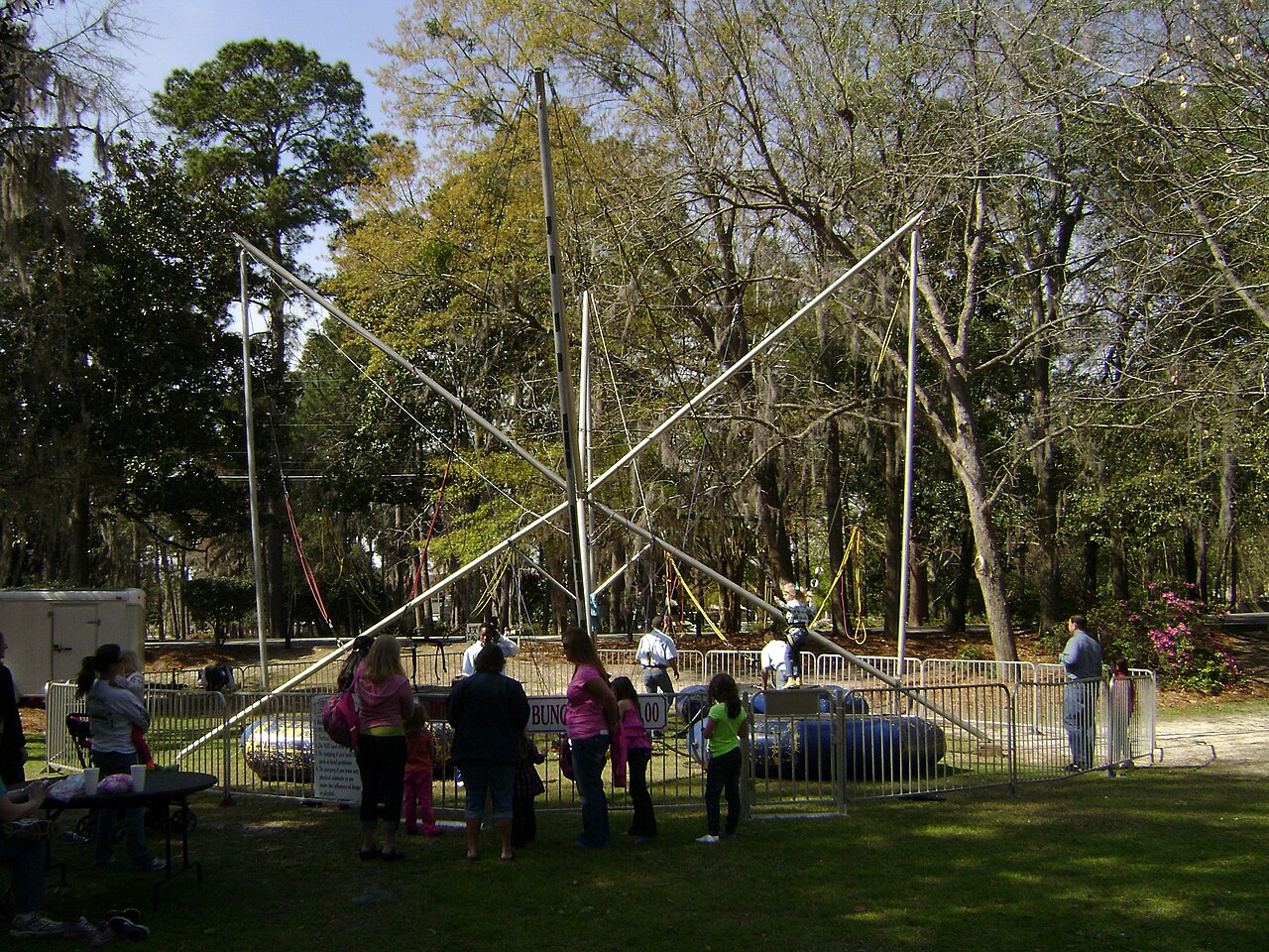 A photograph of Bungee