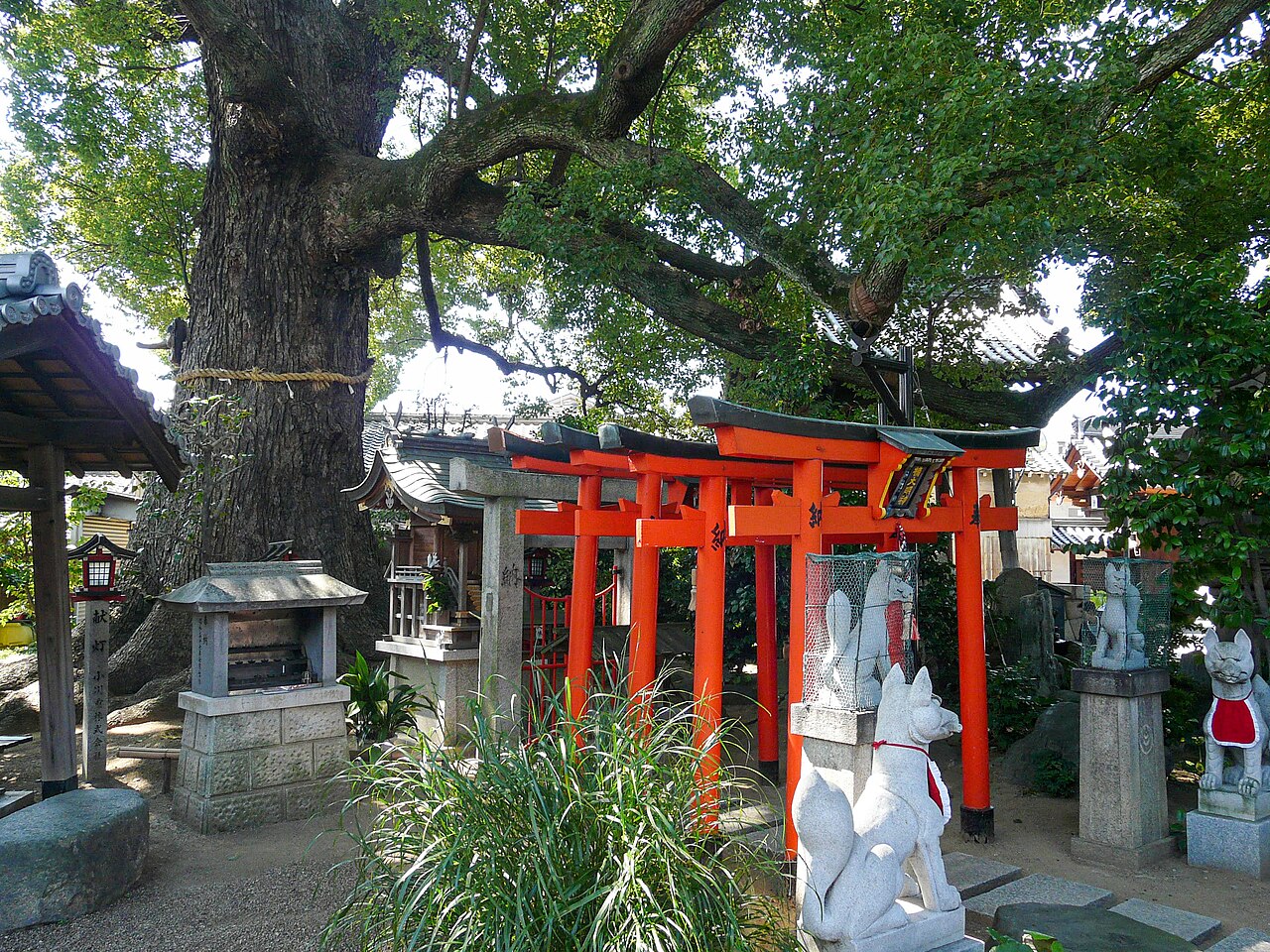 Hōraku-ji Tapınağı fotoğrafı