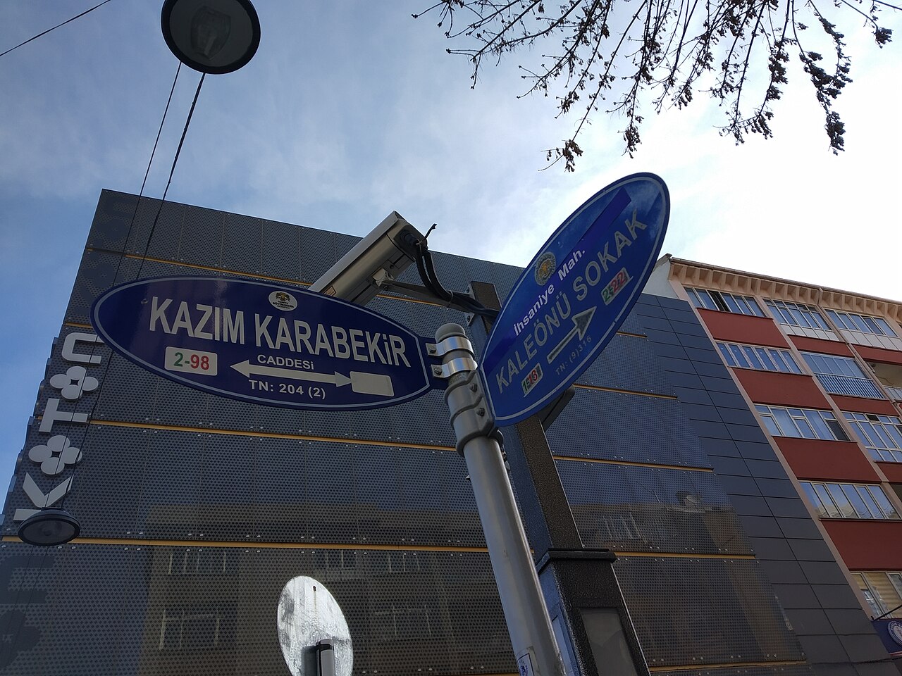 Koton fotoğrafı
