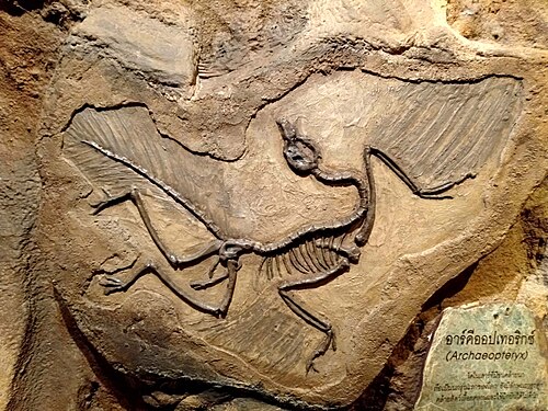 Museo della scoperta dei bambini
