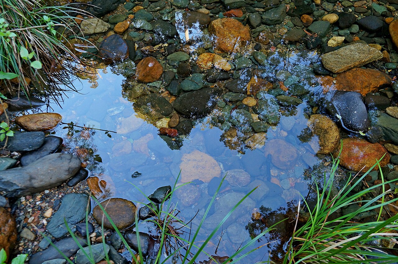 D'Aguilar National Park