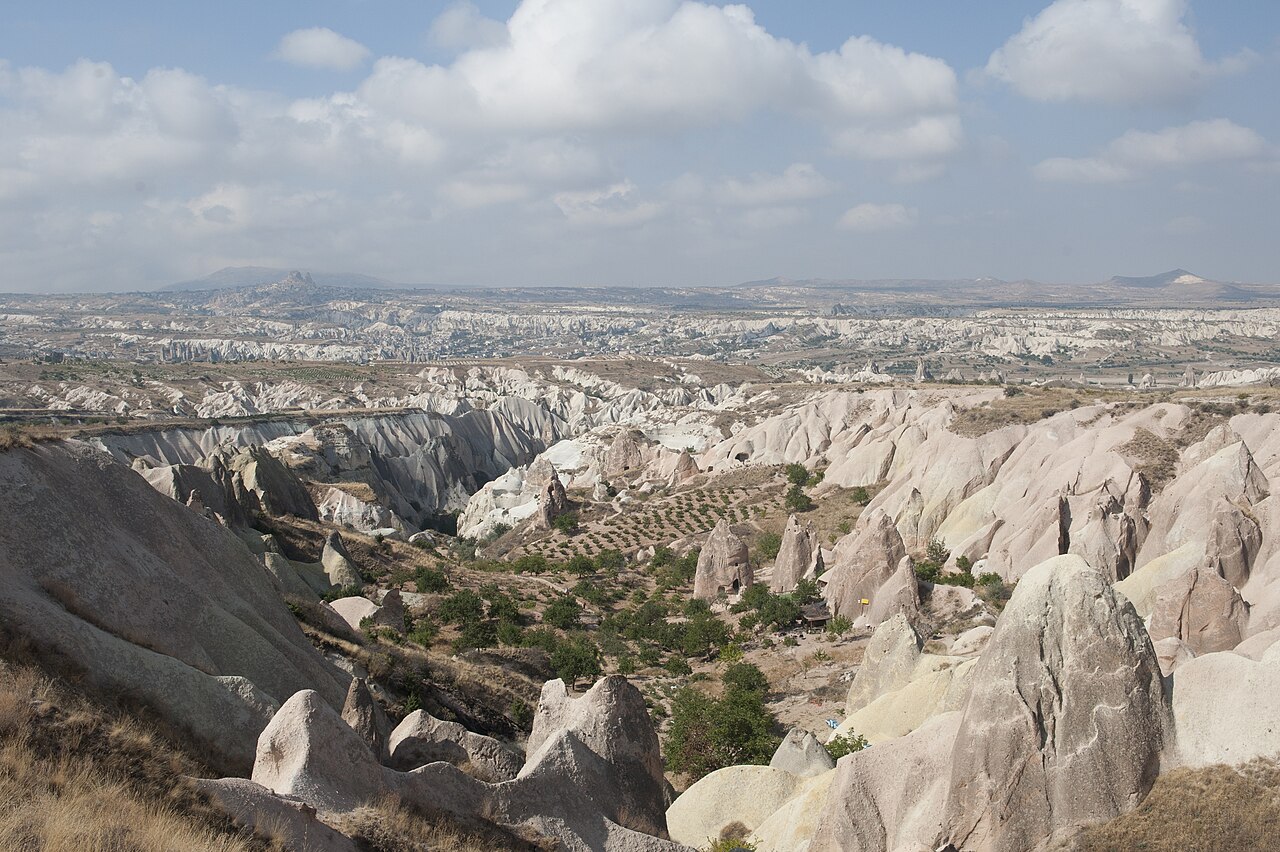 Top Tepe fotoğrafı