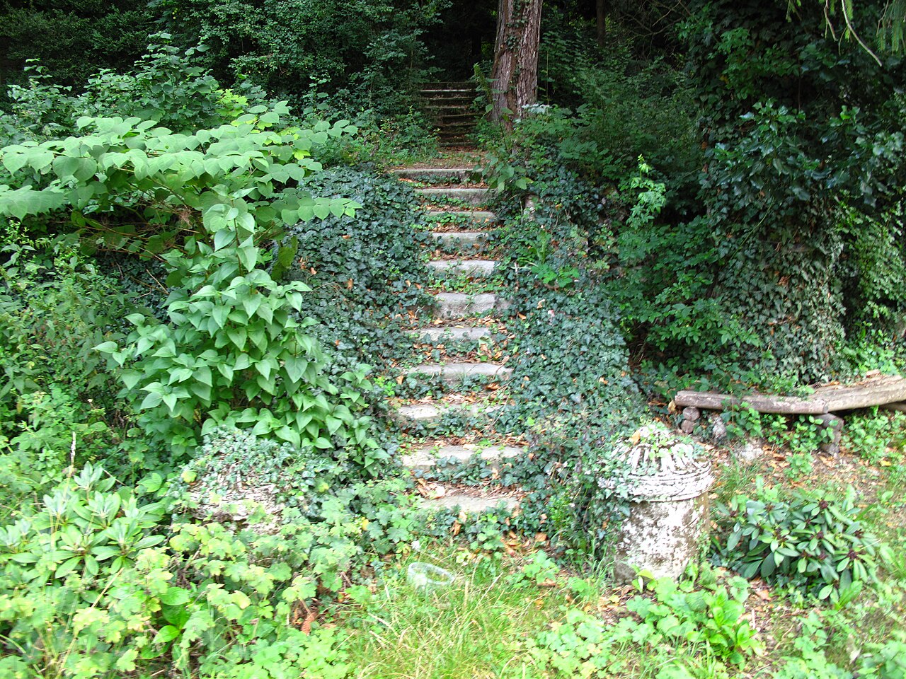 Giardino paesaggistico Mackscher