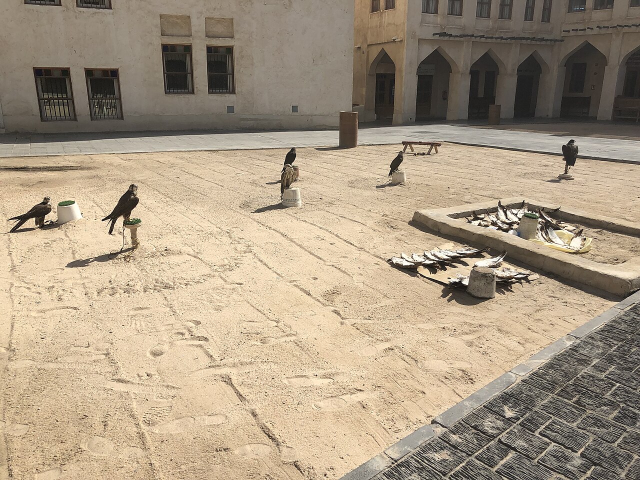 Falcon Souq