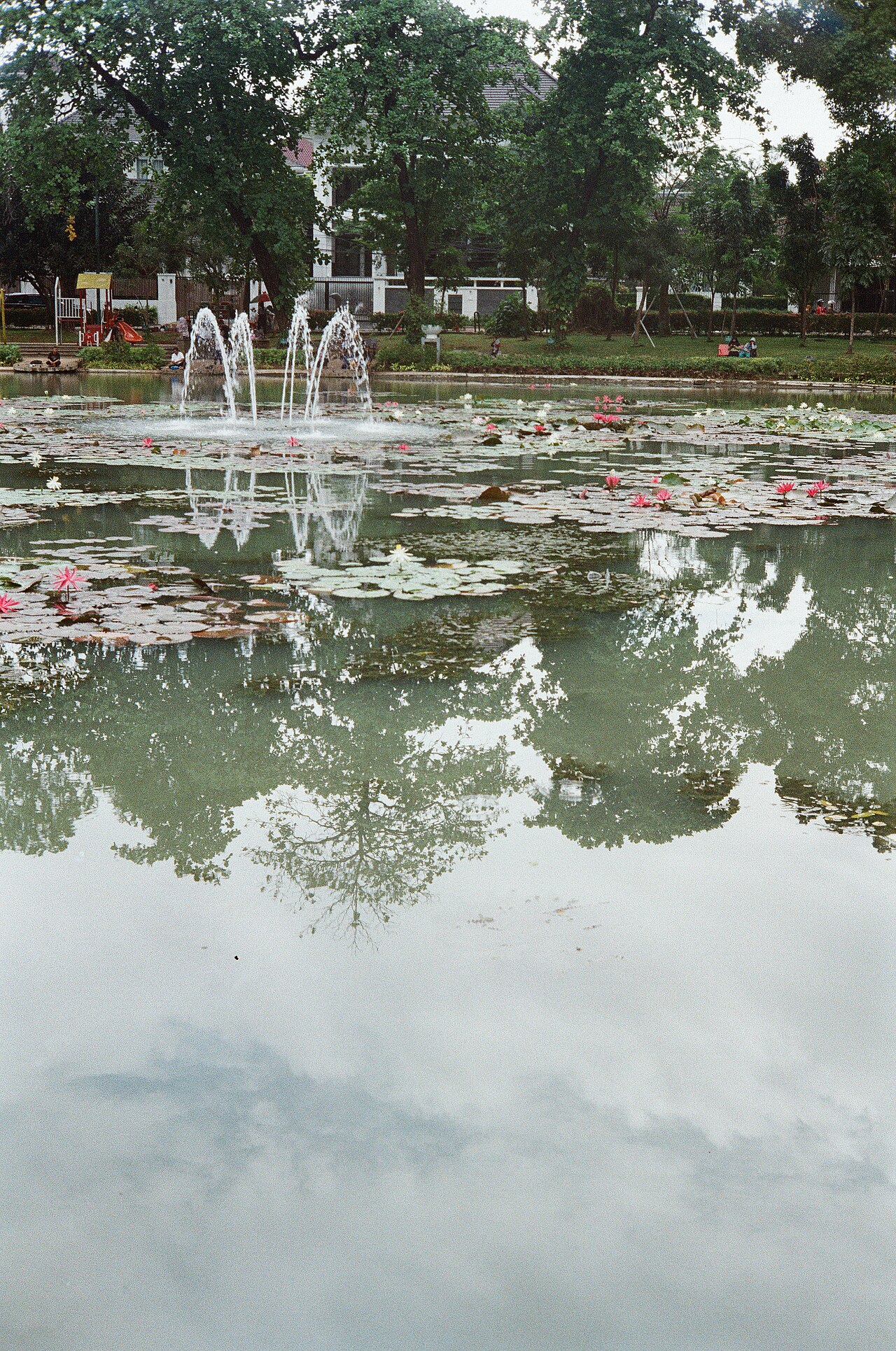 A photograph of Taman Situ Lembang