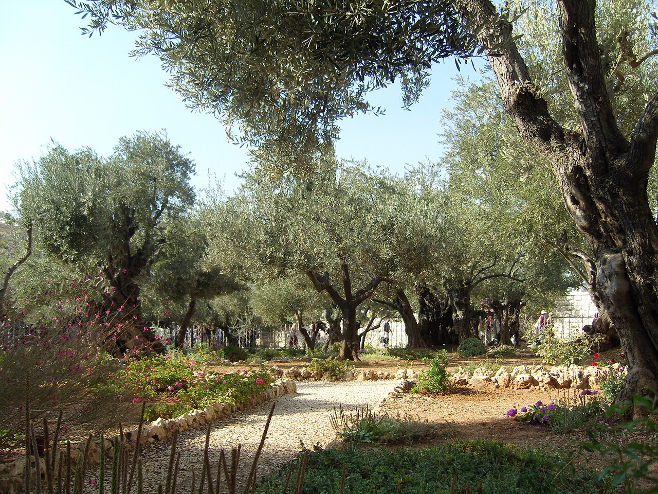 Gethsemane fotoğrafı