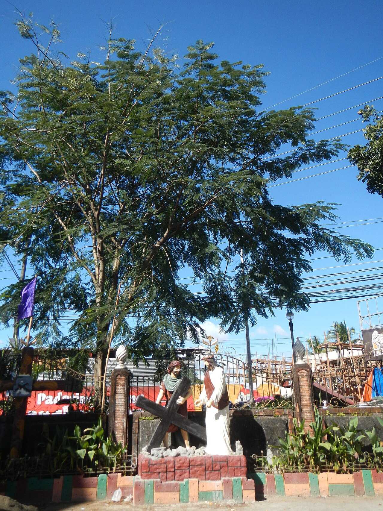 A photograph of Santa Monica Parish
