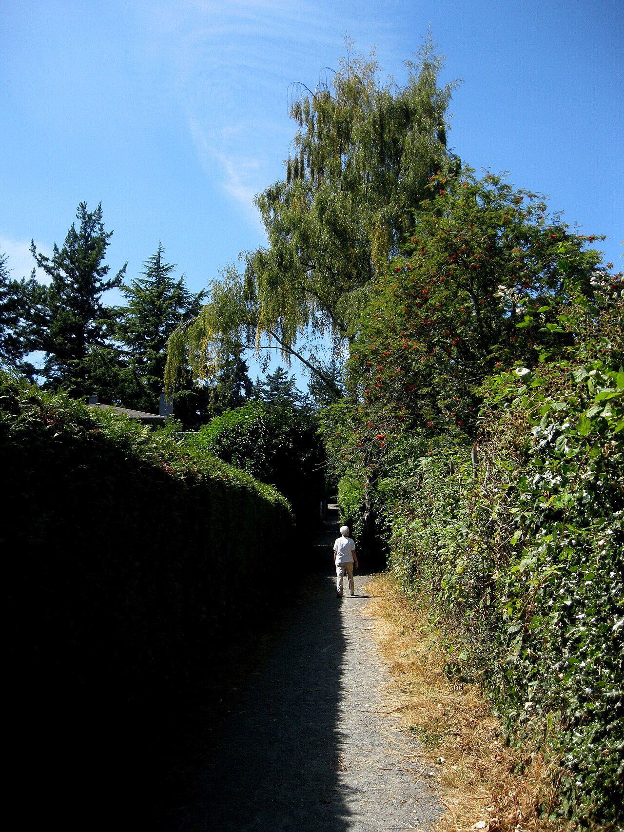 Arbutus Park fotoğrafı
