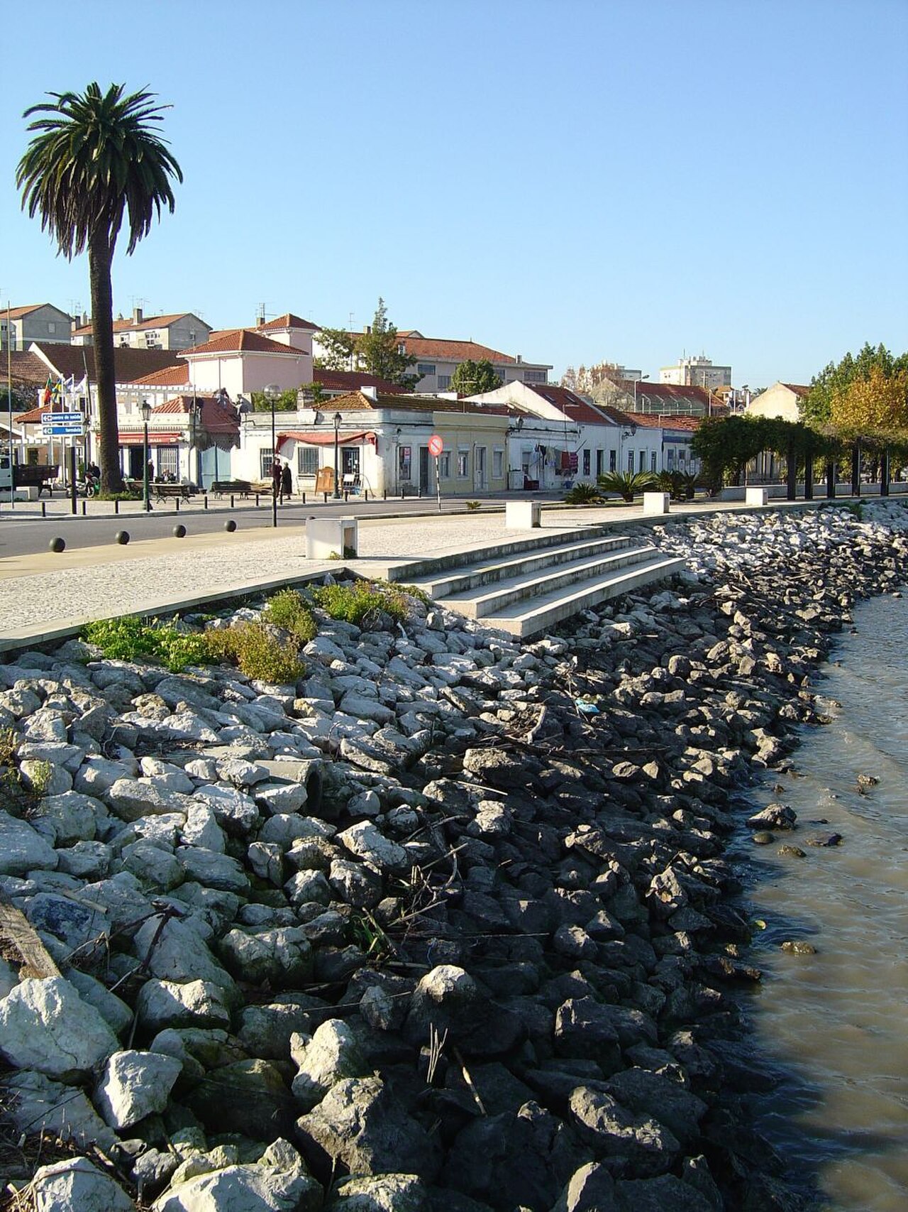 A photograph of Amora