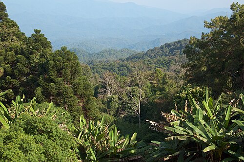 Nationalpark Doi Suthep-Pui