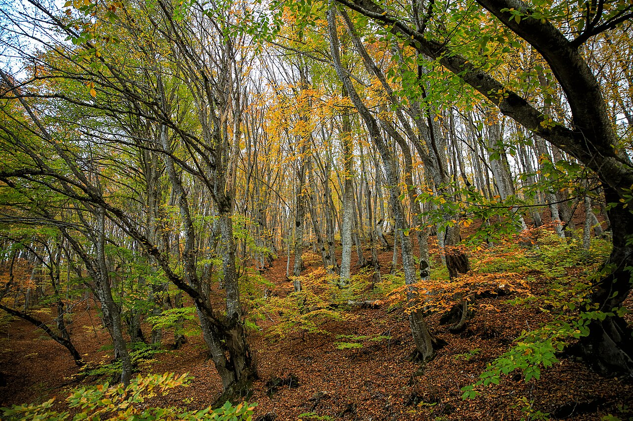 Ein Foto von Nationalpark Tiflis