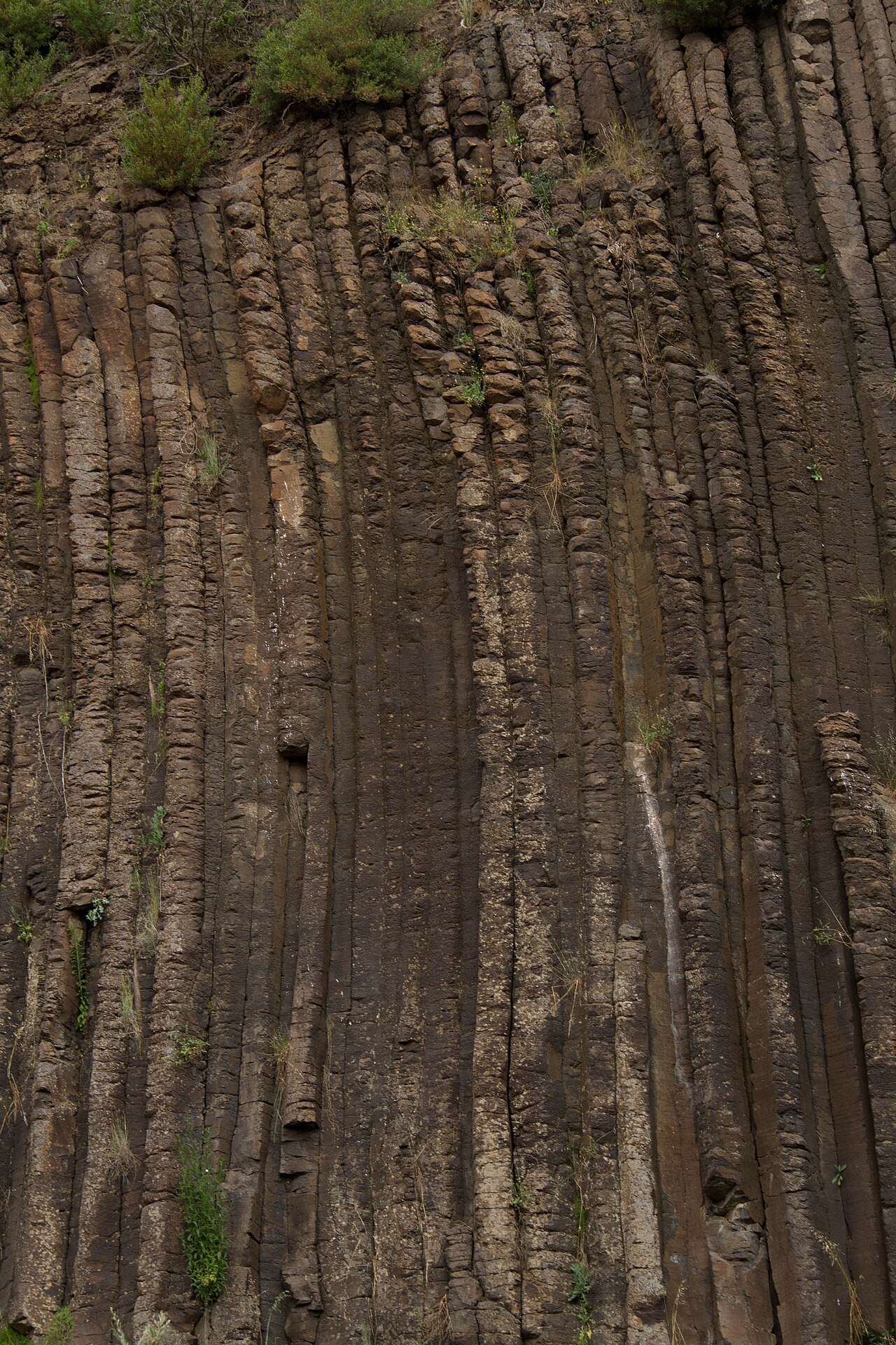 Organ Pipes Milli Parkı fotoğrafı
