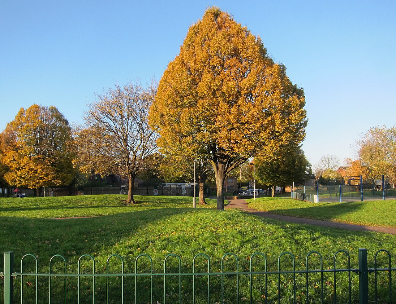 Hartington Park fotoğrafı
