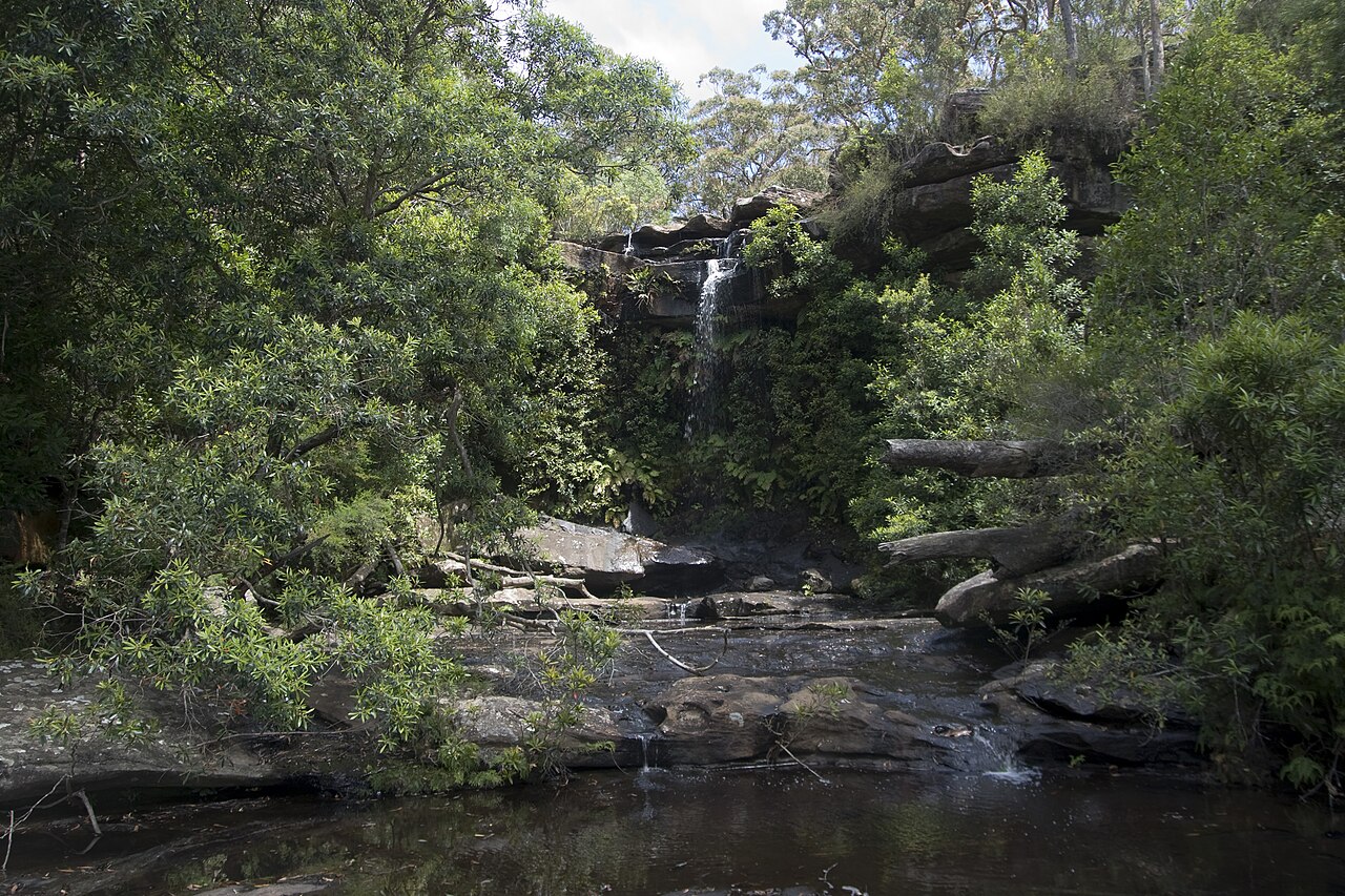 National Falls (Upper Falls) fotoğrafı