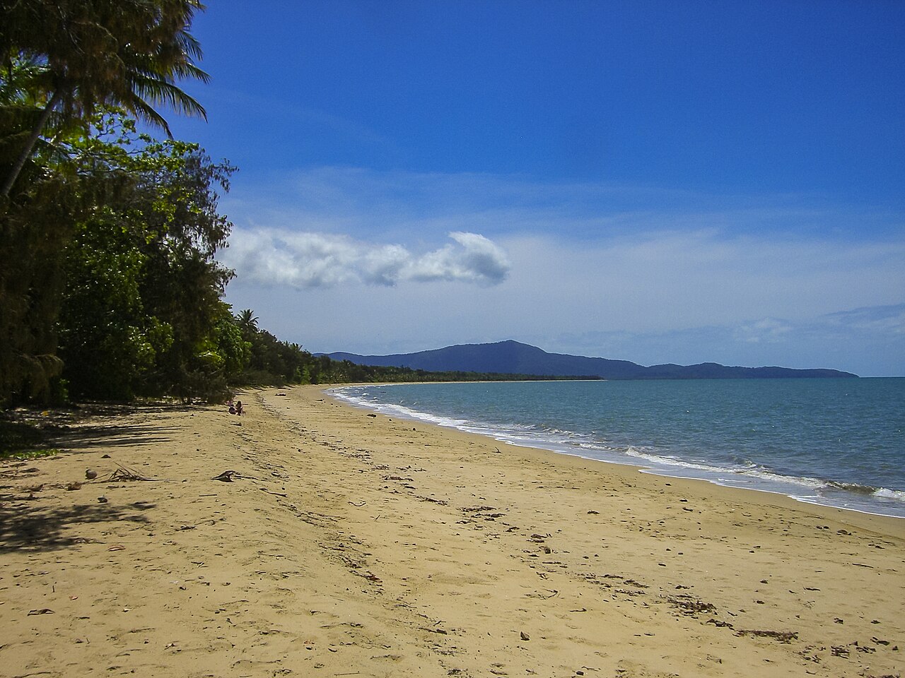 A photograph of Daintree Park