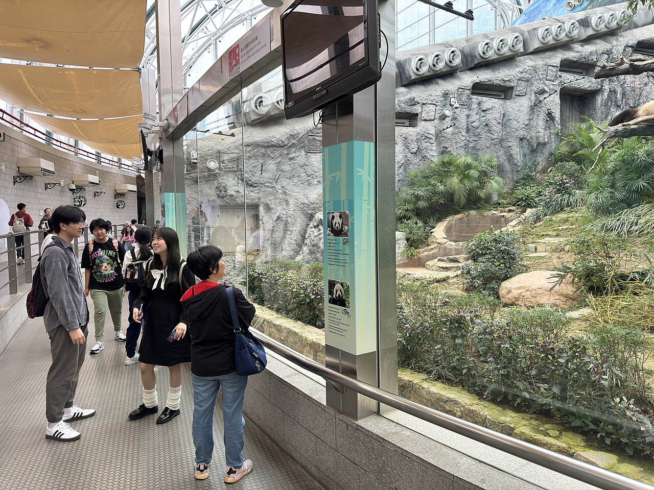 A photograph of Macao Giant Panda Pavilion
