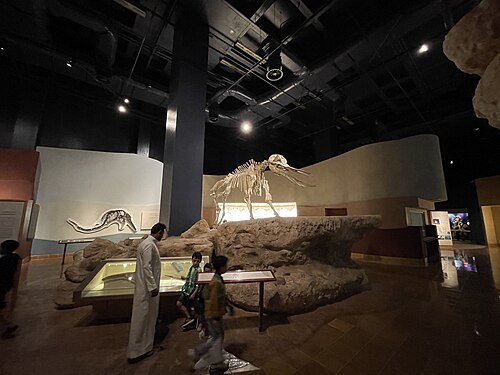 Museo nazionale dell'Arabia Saudita