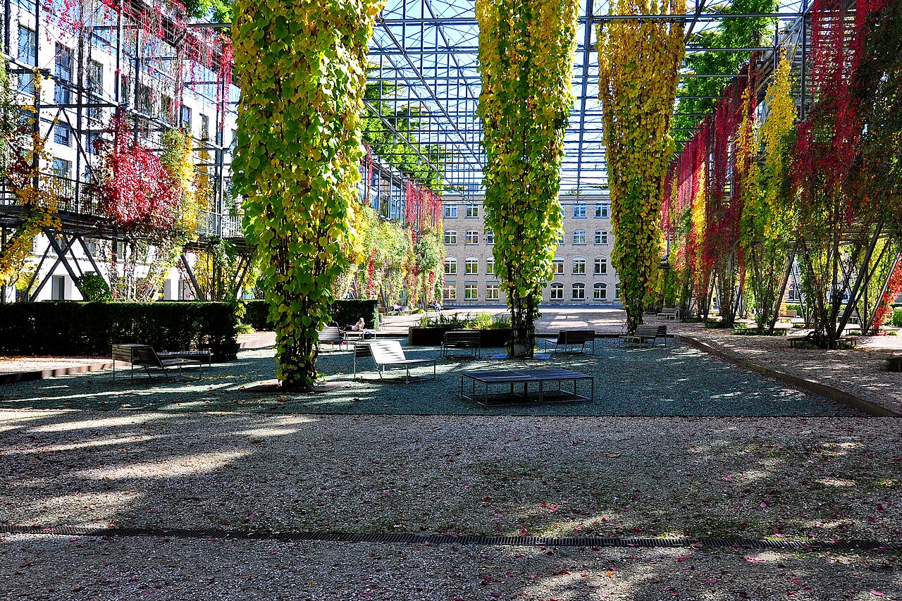 Ein Foto von MFO-Park