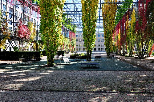 MFO-Park