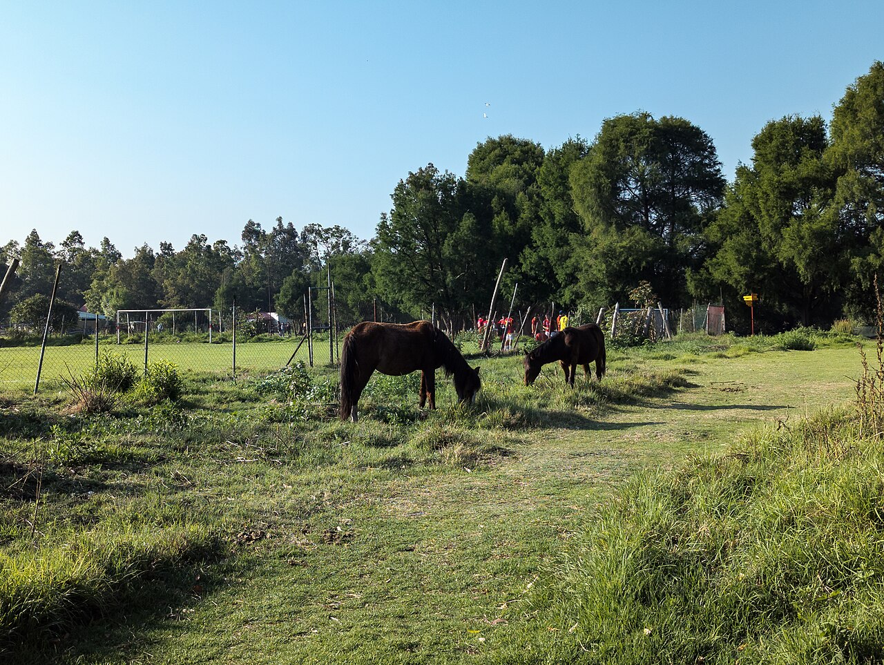 A photograph of Unidad Deportiva