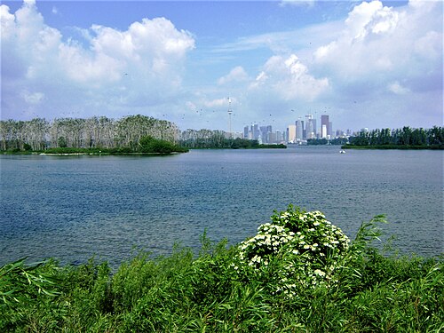 Leslie Street Spit