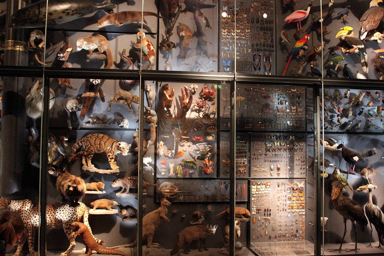 The Specimen Jar fotoğrafı