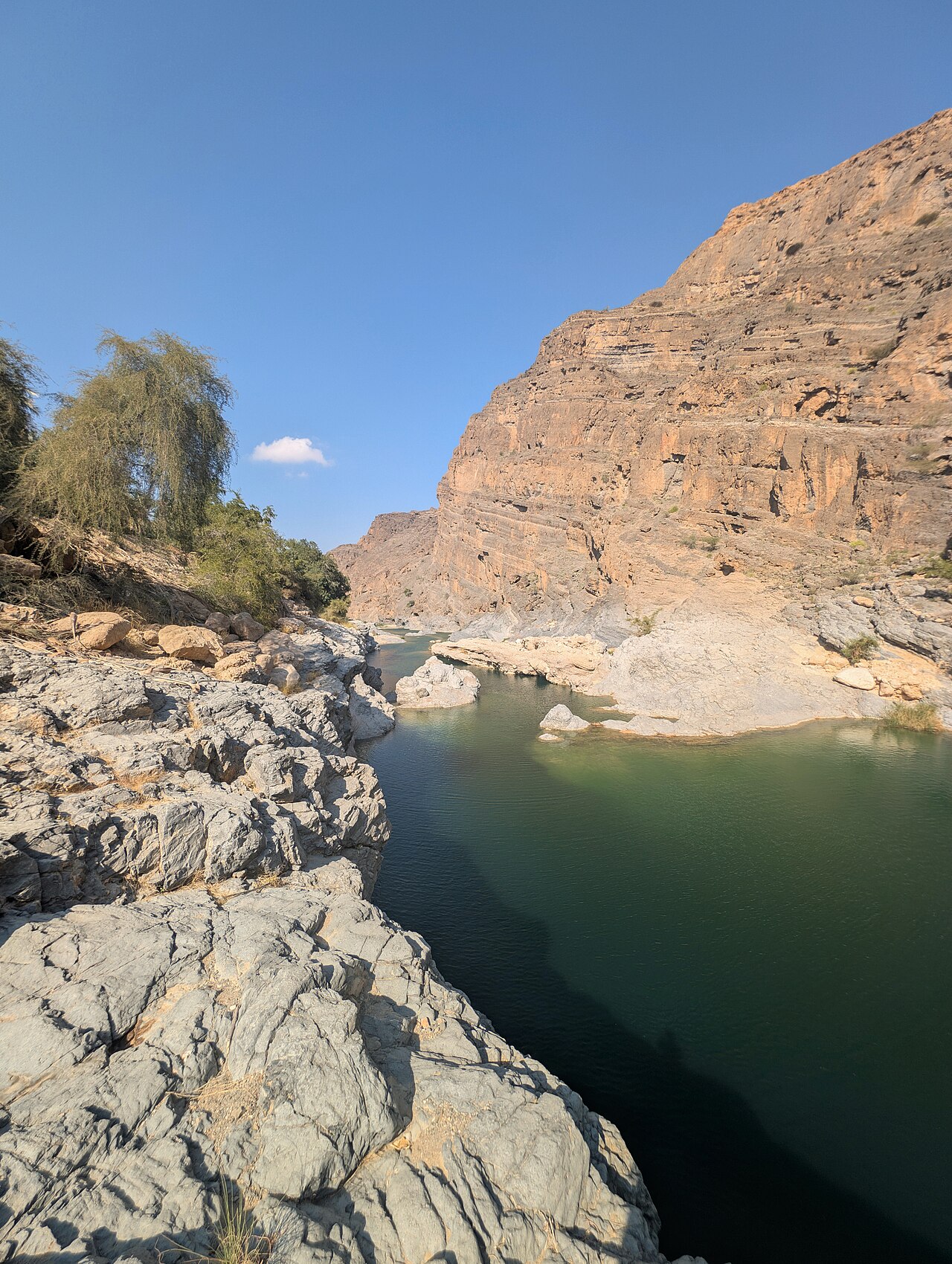 صورة وادي الـعـربـيـيـن