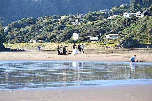 Piha Beach
