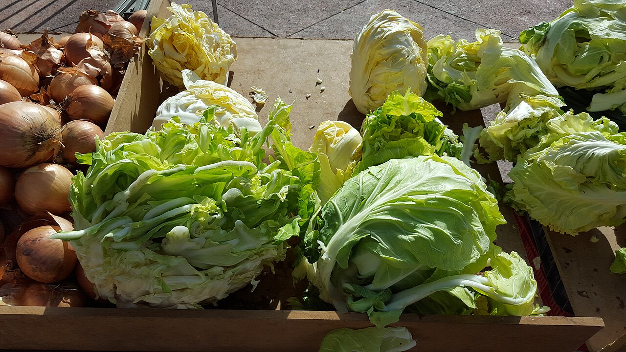 Ein Foto von Markt 23